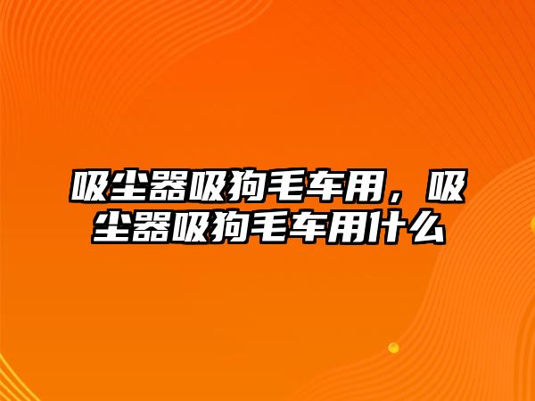 吸塵器吸狗毛車用，吸塵器吸狗毛車用什么