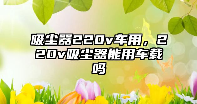 吸塵器220v車用，220v吸塵器能用車載嗎