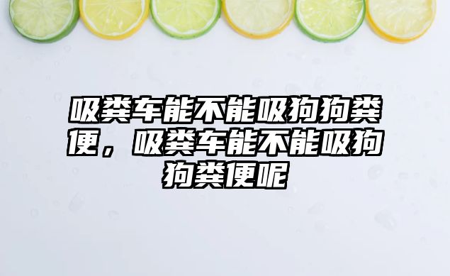 吸糞車能不能吸狗狗糞便，吸糞車能不能吸狗狗糞便呢