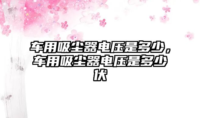 車用吸塵器電壓是多少，車用吸塵器電壓是多少伏