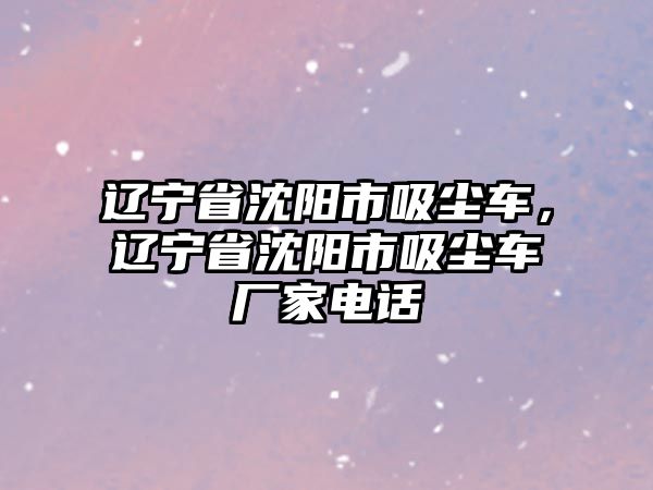 遼寧省沈陽市吸塵車，遼寧省沈陽市吸塵車廠家電話