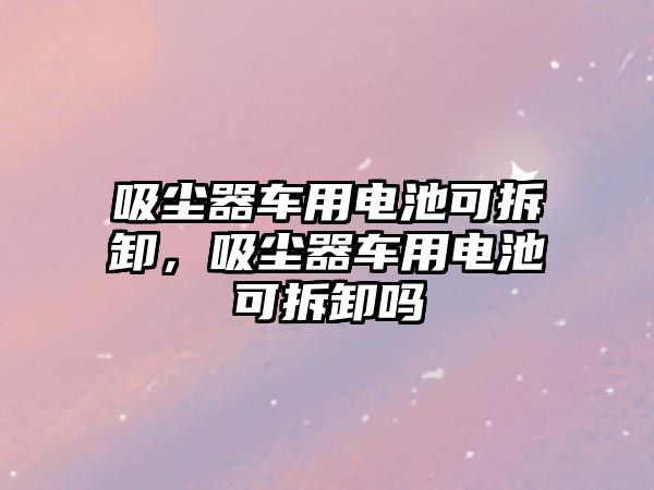 吸塵器車用電池可拆卸，吸塵器車用電池可拆卸嗎