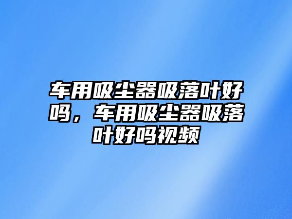 車用吸塵器吸落葉好嗎，車用吸塵器吸落葉好嗎視頻