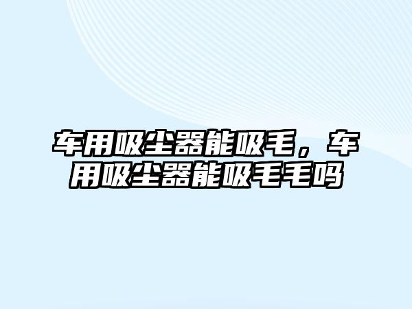 車用吸塵器能吸毛，車用吸塵器能吸毛毛嗎