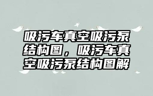 吸污車真空吸污泵結(jié)構(gòu)圖，吸污車真空吸污泵結(jié)構(gòu)圖解