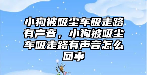 小狗被吸塵車吸走路有聲音，小狗被吸塵車吸走路有聲音怎么回事