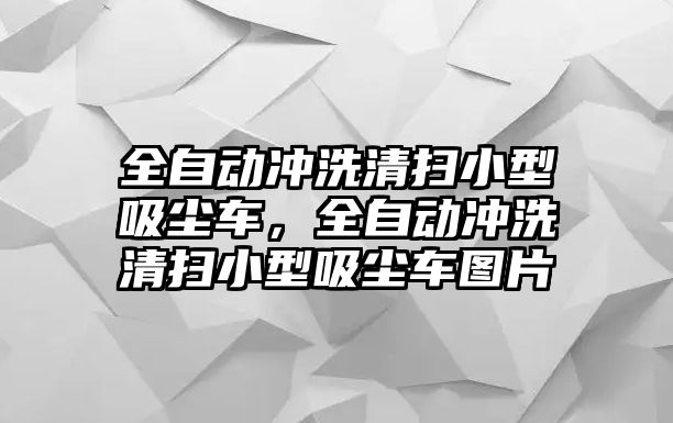 全自動沖洗清掃小型吸塵車，全自動沖洗清掃小型吸塵車圖片