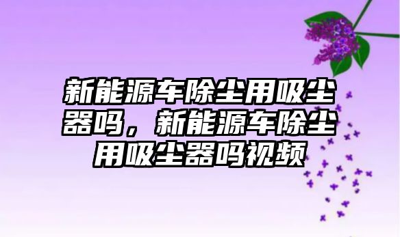 新能源車除塵用吸塵器嗎，新能源車除塵用吸塵器嗎視頻