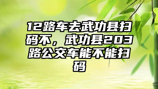 12路車去武功縣掃碼不，武功縣203路公交車能不能掃碼