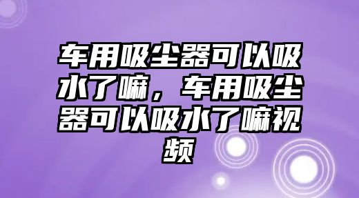 車用吸塵器可以吸水了嘛，車用吸塵器可以吸水了嘛視頻