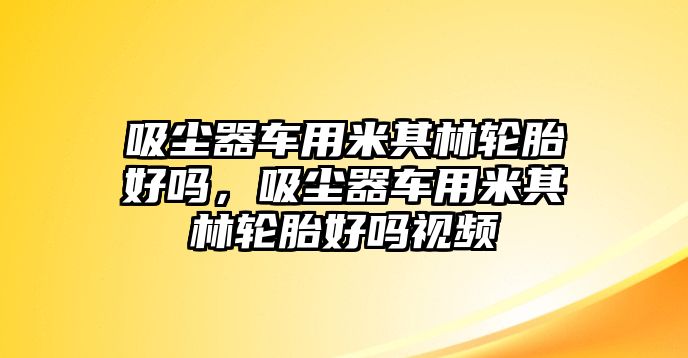 吸塵器車用米其林輪胎好嗎，吸塵器車用米其林輪胎好嗎視頻