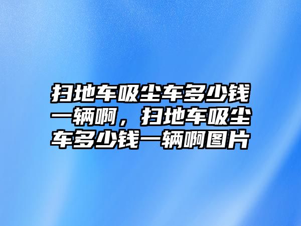 掃地車吸塵車多少錢一輛啊，掃地車吸塵車多少錢一輛啊圖片