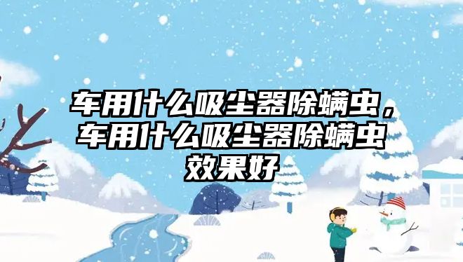 車用什么吸塵器除螨蟲，車用什么吸塵器除螨蟲效果好