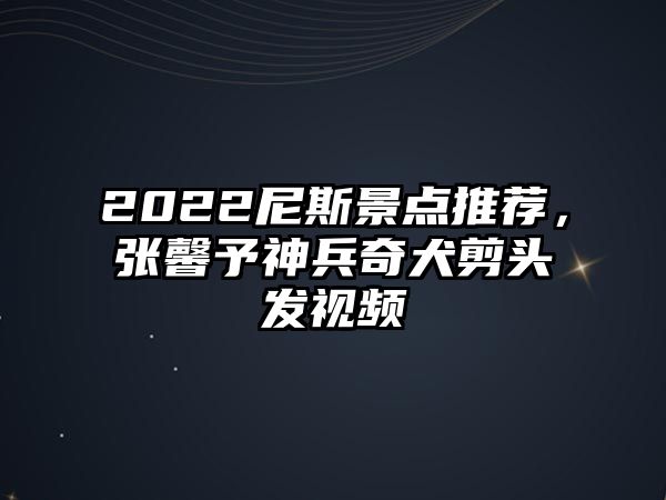 2022尼斯景點(diǎn)推薦，張馨予神兵奇犬剪頭發(fā)視頻