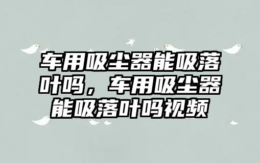 車用吸塵器能吸落葉嗎，車用吸塵器能吸落葉嗎視頻