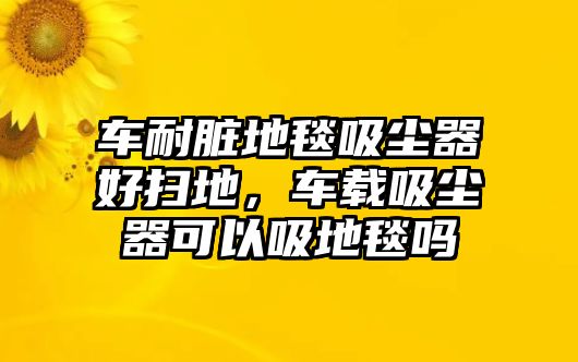 車耐臟地毯吸塵器好掃地，車載吸塵器可以吸地毯嗎