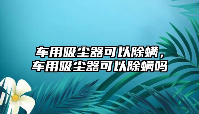 車用吸塵器可以除螨，車用吸塵器可以除螨嗎