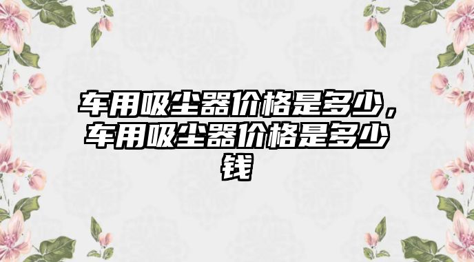 車用吸塵器價(jià)格是多少，車用吸塵器價(jià)格是多少錢