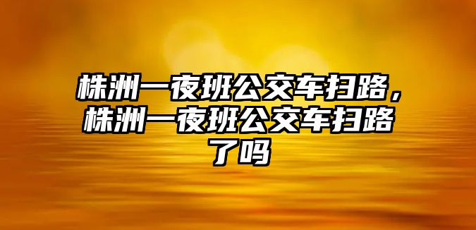 株洲一夜班公交車掃路，株洲一夜班公交車掃路了嗎