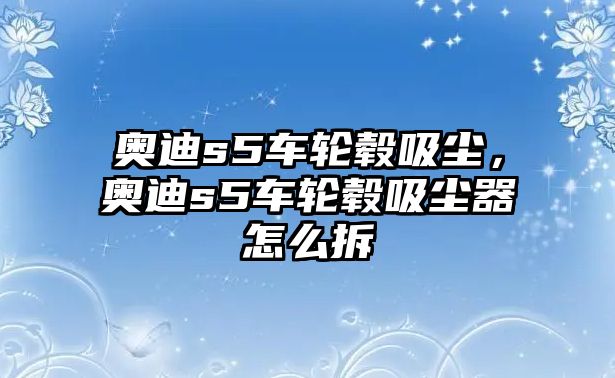 奧迪s5車輪轂吸塵，奧迪s5車輪轂吸塵器怎么拆