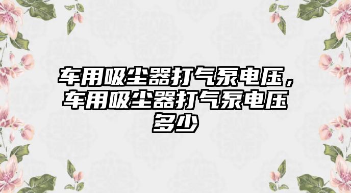 車用吸塵器打氣泵電壓，車用吸塵器打氣泵電壓多少