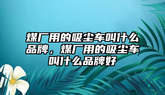 煤廠用的吸塵車叫什么品牌，煤廠用的吸塵車叫什么品牌好