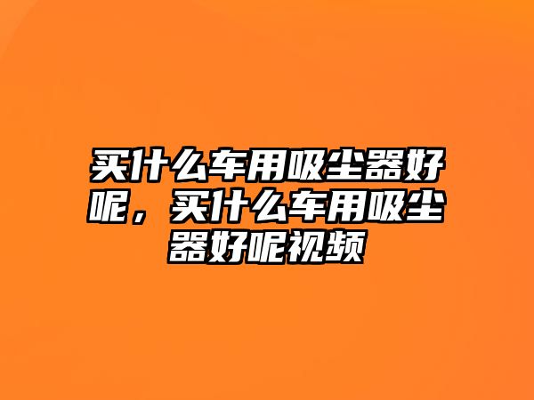 買(mǎi)什么車用吸塵器好呢，買(mǎi)什么車用吸塵器好呢視頻