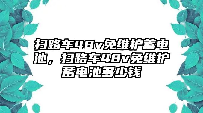 掃路車48v免維護(hù)蓄電池，掃路車48v免維護(hù)蓄電池多少錢