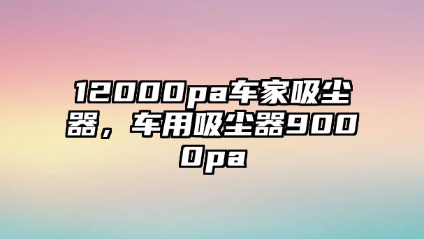 12000pa車家吸塵器，車用吸塵器9000pa