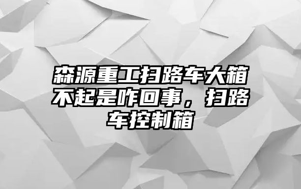 森源重工掃路車大箱不起是咋回事，掃路車控制箱