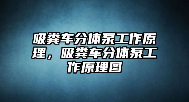 吸糞車(chē)分體泵工作原理，吸糞車(chē)分體泵工作原理圖