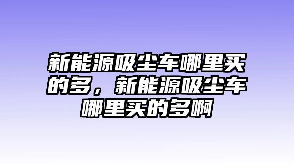 新能源吸塵車哪里買的多，新能源吸塵車哪里買的多啊