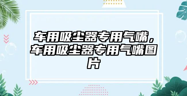 車用吸塵器專用氣嘴，車用吸塵器專用氣嘴圖片