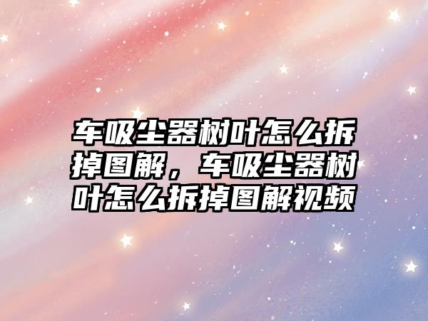 車吸塵器樹葉怎么拆掉圖解，車吸塵器樹葉怎么拆掉圖解視頻