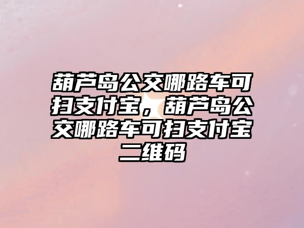 葫蘆島公交哪路車可掃支付寶，葫蘆島公交哪路車可掃支付寶二維碼