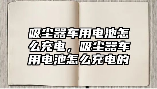 吸塵器車用電池怎么充電，吸塵器車用電池怎么充電的