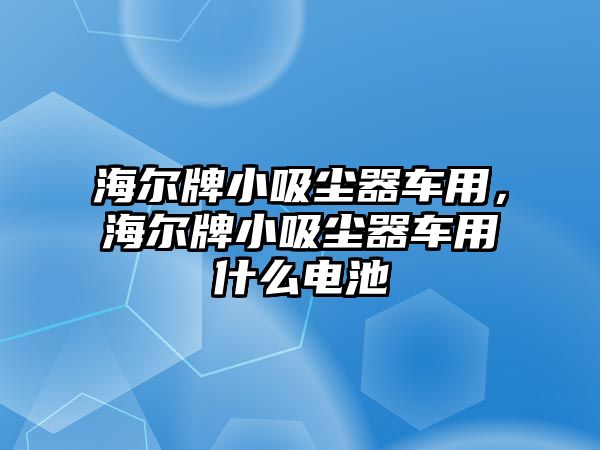 海爾牌小吸塵器車用，海爾牌小吸塵器車用什么電池