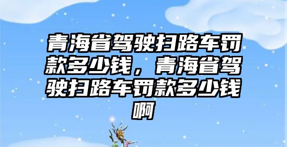 青海省駕駛掃路車罰款多少錢，青海省駕駛掃路車罰款多少錢啊