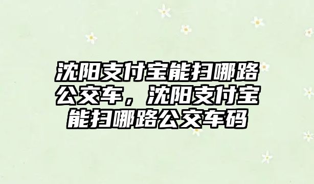 沈陽支付寶能掃哪路公交車，沈陽支付寶能掃哪路公交車碼