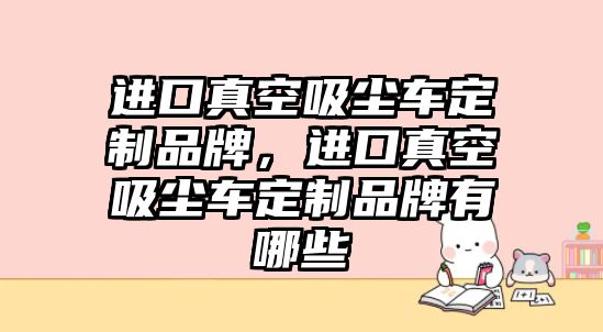 進口真空吸塵車定制品牌，進口真空吸塵車定制品牌有哪些