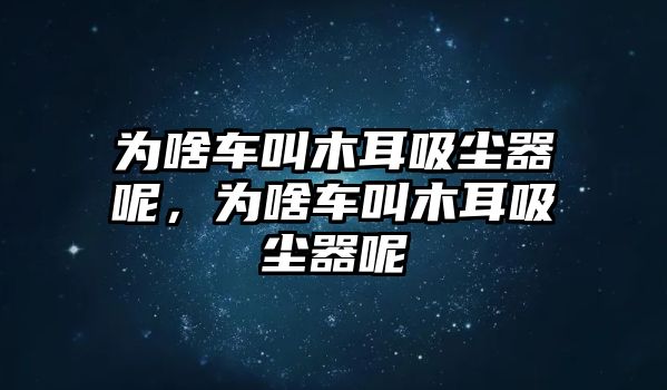 為啥車叫木耳吸塵器呢，為啥車叫木耳吸塵器呢