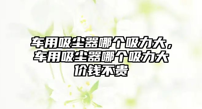 車用吸塵器哪個(gè)吸力大，車用吸塵器哪個(gè)吸力大價(jià)錢不貴