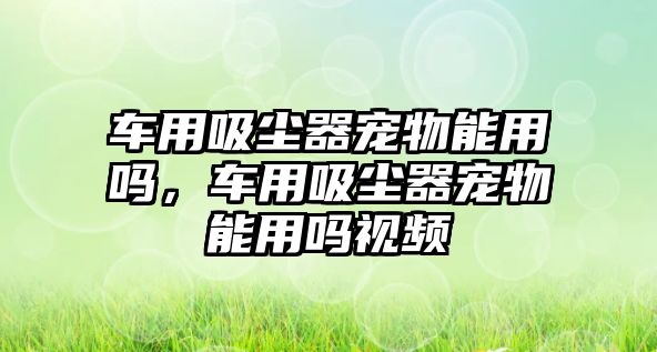 車用吸塵器寵物能用嗎，車用吸塵器寵物能用嗎視頻