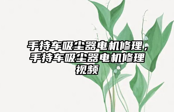 手持車吸塵器電機(jī)修理，手持車吸塵器電機(jī)修理視頻