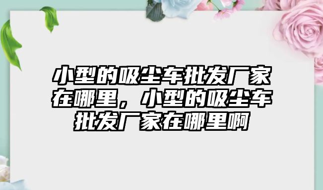 小型的吸塵車批發(fā)廠家在哪里，小型的吸塵車批發(fā)廠家在哪里啊