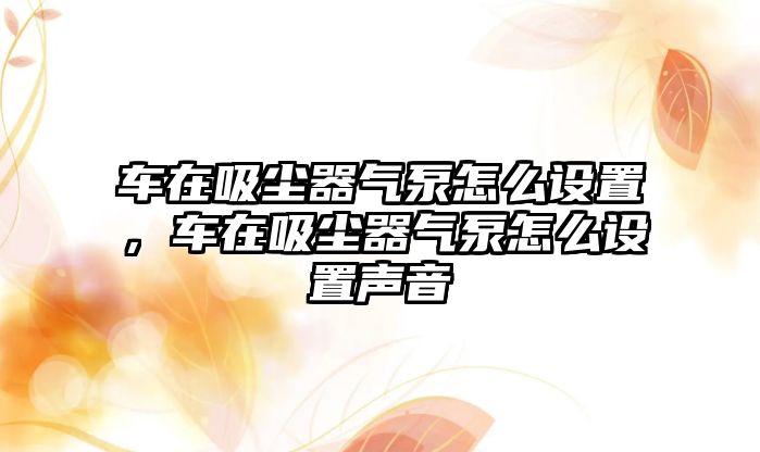 車在吸塵器氣泵怎么設(shè)置，車在吸塵器氣泵怎么設(shè)置聲音