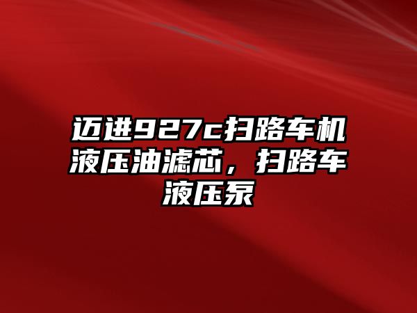 邁進927c掃路車機液壓油濾芯，掃路車液壓泵