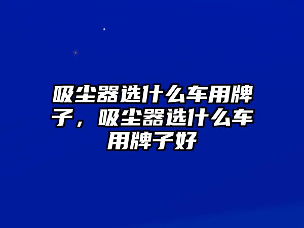 吸塵器選什么車用牌子，吸塵器選什么車用牌子好