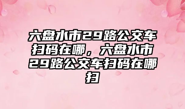 六盤水市29路公交車掃碼在哪，六盤水市29路公交車掃碼在哪掃