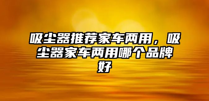 吸塵器推薦家車兩用，吸塵器家車兩用哪個(gè)品牌好